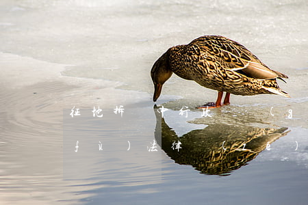 征地拆遷中,行政機關(guān)也要負(fù)法律責(zé)任？！